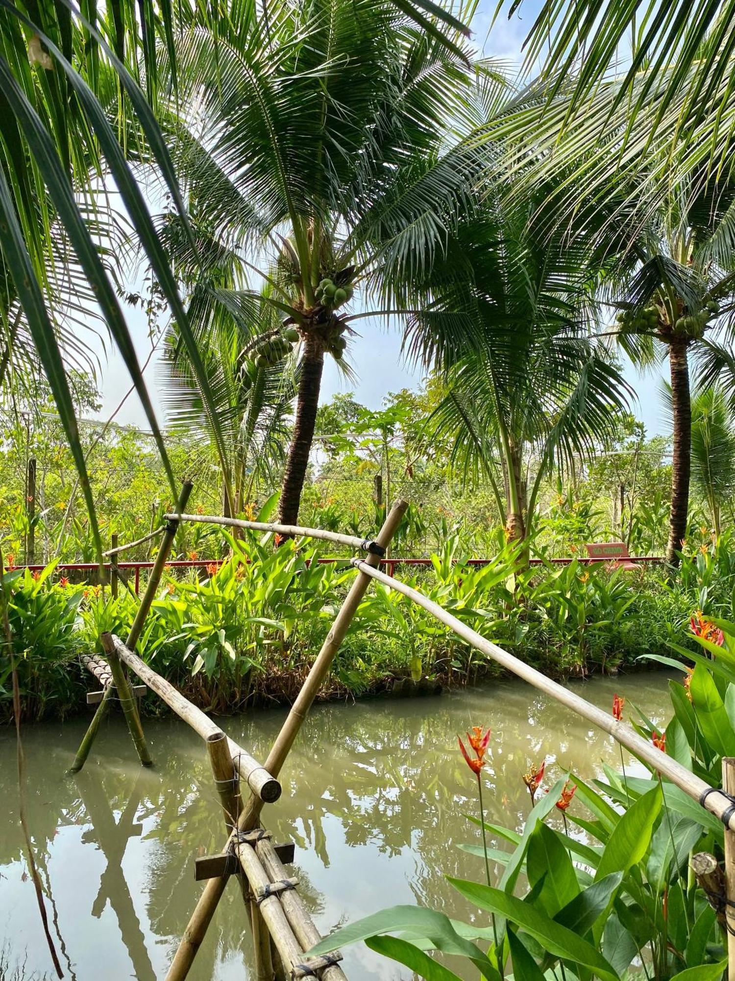 Go Chanh Homestay Cai Rang Ngoại thất bức ảnh